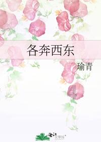 R语言中var.coef 是什么意思？游戏画面